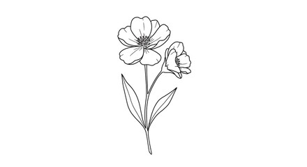 Elegant Line Art: Delicate Floral Sketch of Two Blooms