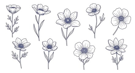 Elegant Line Art: Ten Delicate Floral Sketches
