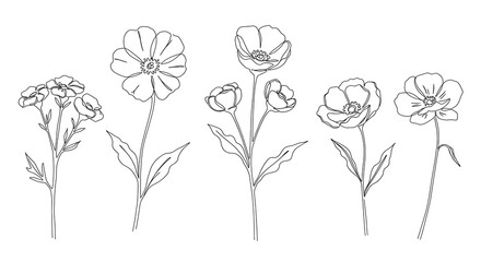 Elegant Line Art Floral Collection: Simple Botanical Drawings