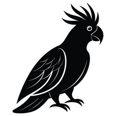 Fototapeta premium Silhouette of a Black Palm Cockatoo Parrot Bird on White Background Icon