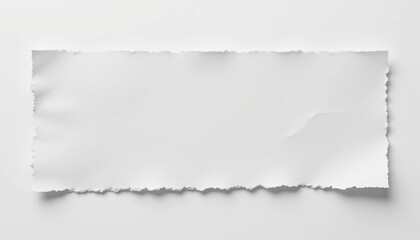 White Paper with Horizontal Torn Edge Isolated on Minimal Background