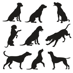 Set Of Dogs Silhouettes Vector Collection Different Dog Poses Depicted Various Views Black Isolated On White Background Perfect For Dog Lovers