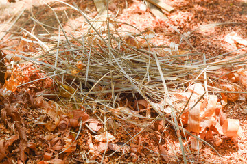 Close up of waste used by wood craftsmen