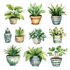 Fototapeta premium Beautiful Collection of Indoor Plants in Decorative Pots for Home Decor and Design