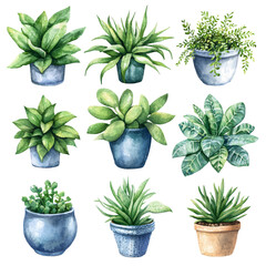 Fototapeta premium Vibrant Collection of Potted Greenery with Varied Leaf Shapes and Textures