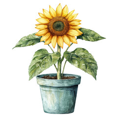 Obraz premium Bright Sunflower in a Decorative Pot Against a White Background