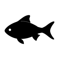 electric blue ram fish black silhouette of a moorish idol fish aquatic animal ocean life- simple black silhouette of a electric blue ram fish tropical sea life animal icon,