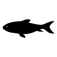glass catfish black silhouette of a moorish idol fish aquatic animal ocean life- simple black silhouette of a glass catfish tropical sea life animal icon,