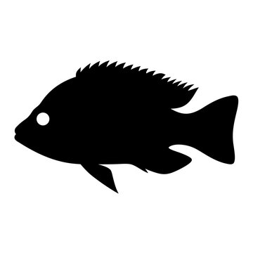 recommend clip art: firemouth cichlid fish black silhouette of a moorish idol fish aquatic animal ocean life- simple black silhouette of a firemouth cichlid fish tropical sea life animal icon,
