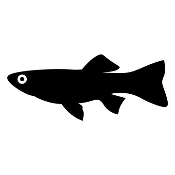 recommend clip art: endler s livebearer fish black silhouette of a moorish idol fish aquatic animal ocean life- simple black silhouette of a endler s livebearer fish tropical sea life animal icon,