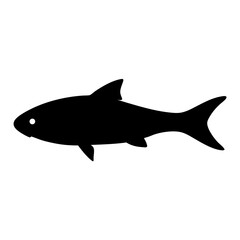 Fototapeta premium kribensis fish black silhouette of a moorish idol fish aquatic animal ocean life- simple black silhouette of a kribensis fish tropical sea life animal icon,