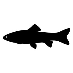 kuhli loach fish black silhouette of a moorish idol fish aquatic animal ocean life- simple black silhouette of a kuhli loach fish tropical sea life animal icon,