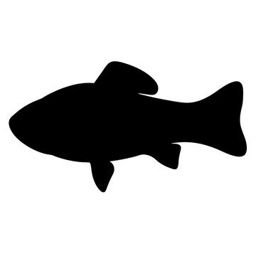 recommend clip art: kuhli loach fish black silhouette of a moorish idol fish aquatic animal ocean life- simple black silhouette of a kuhli loach fish tropical sea life animal icon,