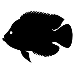 oscar fish black silhouette of a moorish idol fish aquatic animal ocean life- simple black silhouette of a oscar fish tropical sea life animal icon,
