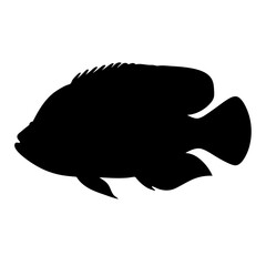 oscar fish black silhouette of a moorish idol fish aquatic animal ocean life- simple black silhouette of a oscar fish tropical sea life animal icon,