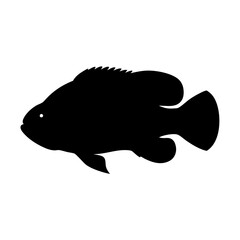 oscar fish black silhouette of a moorish idol fish aquatic animal ocean life- simple black silhouette of a oscar fish tropical sea life animal icon,