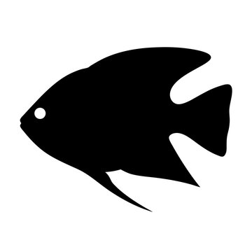 recommend clip art: pearl gourami fish black silhouette of a moorish idol fish aquatic animal ocean life- simple black silhouette of a pearl gourami fish tropical sea life animal icon,