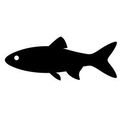 zebra danio fish black silhouette of a moorish idol fish aquatic animal ocean life- simple black silhouette of a zebra danio fish tropical sea life animal icon,