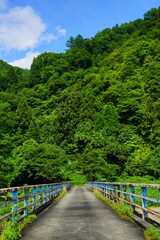 魚野川が流れる河川敷を散歩。大きな橋からの景色。