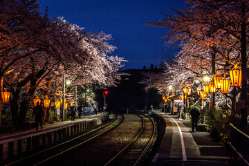 夜桜ライトアップされた能登鹿島駅