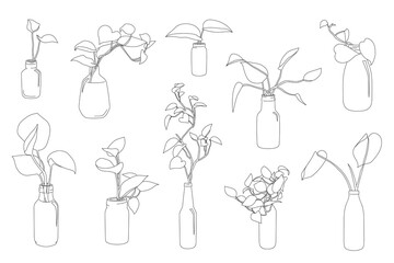 Set of plant in pot hand drawn vector illustrations house plant, home decoration