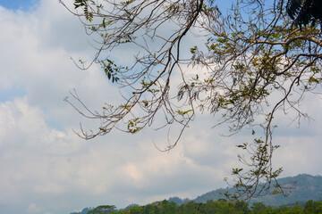 Clear Blue Sky Background With Scattered Clouds