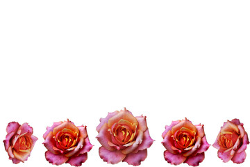 bouquet of red roses