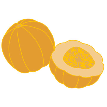 Vector illustration of blewah fruit, also known as cantaloupe or muskmelon, featuring one whole fruit and one cut open showing the juicy orange flesh and seeds
