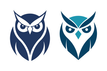 owl on white background