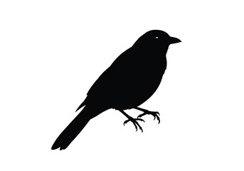 Obraz premium Bird sitting silhouette. A black silhouette of a bird perched elegantly with detailed wings and visible beak. Vector clipart black illustration design.