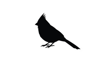 Cardinal silhouette. A black silhouette of a cardinal bird perched gracefully, showcasing its prominent crest and elegant features. Vector clipart black illustration design.