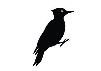 Obraz premium Woodpecker silhouette. A black silhouette of a woodpecker perched on a tree, showcasing its beak and tail details. Vector clipart black illustration design.