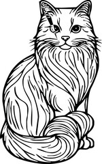 cat - animal, hand drawn black and white vector illustration, isolated on white background