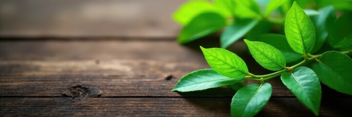 Obraz premium Whispy green leaves on a wooden background, leafy greens, wooden