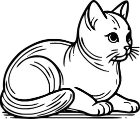 cat - animal, hand drawn black and white vector illustration, isolated on white background