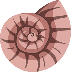 Pink and Brown Seashell Spiral