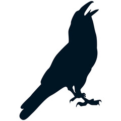 Fototapeta premium Silhouette of Halloween Crow. Flat Vector Illustration