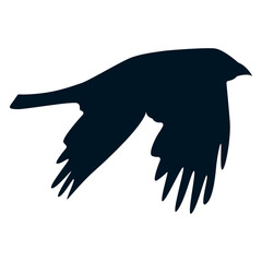 Silhouette of Halloween Crow. Flat Vector Illustration
