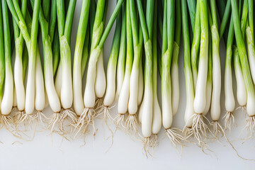 A close-up of fresh scallions, isolated on a white background