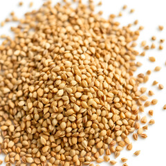 Fototapeta premium Pile of Dried coriander seeds isolated on white background. Full depth of field. Pile of coriander seeds isolated on white background. Coriandrum sativum seeds. Coriander seeds isolated.