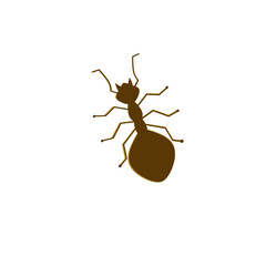 Ant silhoette 