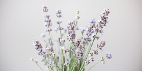 Naklejka premium Serene Lavender Flowers Botanical Beauty Floral Still Life