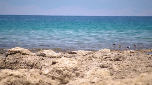Footage depicts a rocky shoreline meeting the clear waters of Assyk Kul Lake in Kyrgyzstan. Birds can be seen near the water&rsquo;s edge under a bright, clear sky.