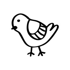 hand drawn bird illustration