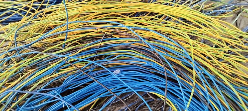 Close up photo of yellow and blue internet cables