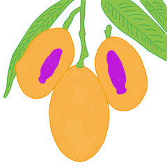 This image shows three gandaria (Marian plum) fruits hanging on a branch with some green leaves.