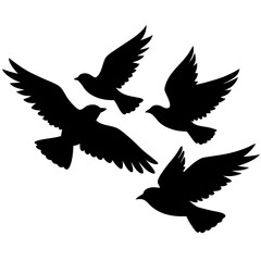 Silhouette Of Four Birds Flying Together Gracefully In Monochrome Isolated On White Background Expressing Freedom And Peace