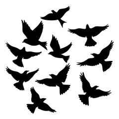 Silhouette Of Flying Birds A Flock Of Birds In Flight Symbolic Of Freedom And Peace Design Element