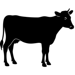 Simple Black Cow Silhouette Graphic Illustration For Farm Theme Design Projects And Vector Based Applications