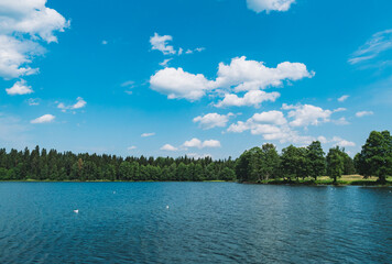 Calm lake surrounded by trees under a bright blue sky with fluffy clouds during a sunny day in the countryside